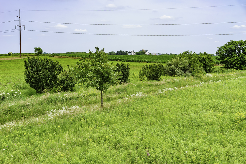 County Lines