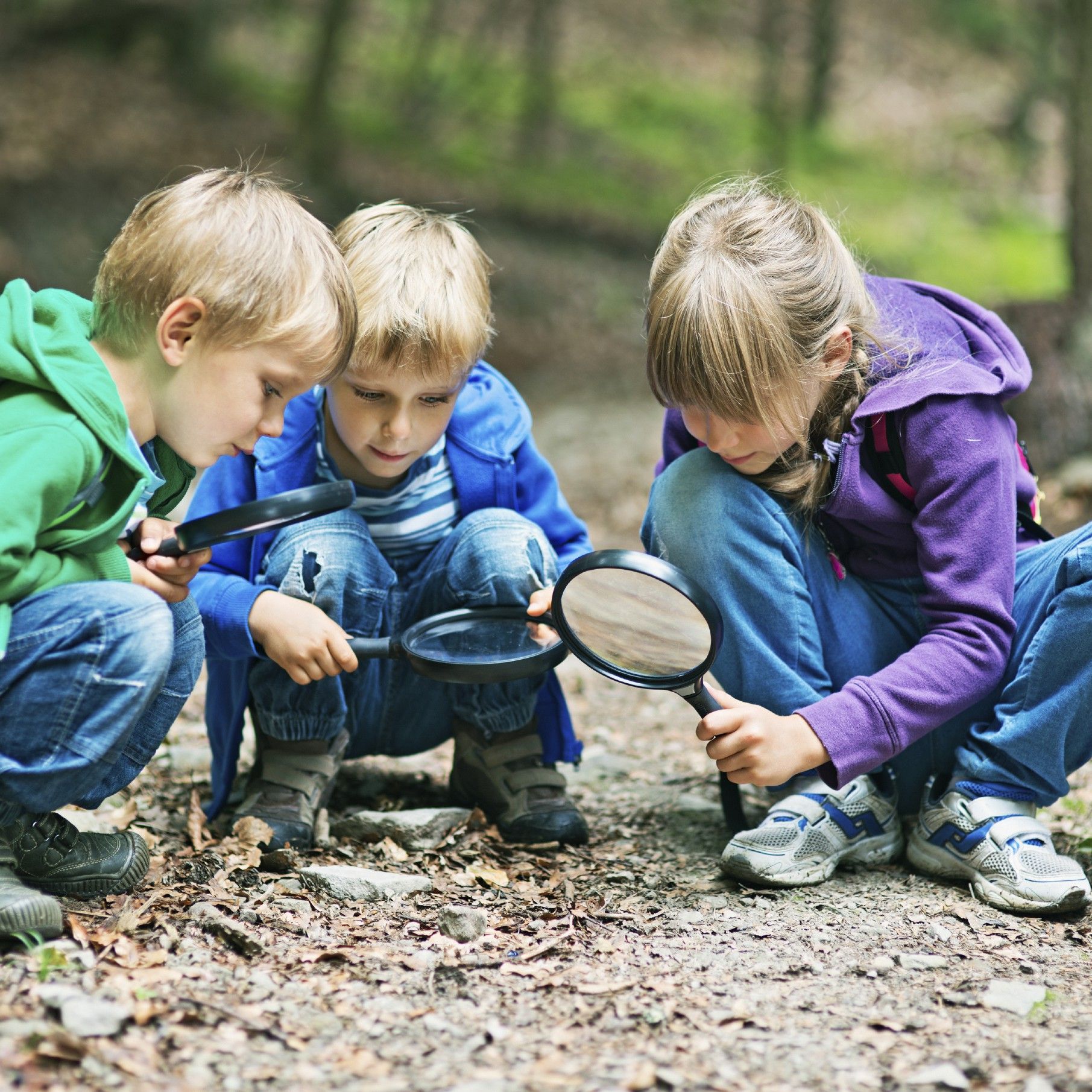 Beyond the classroom: Forest school practice